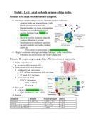 Lokaal Werkende Hormoonachtige Stoffen &ndash; Histamine&comma; Eicosano&iuml;den & EPO &lpar;Module 3 &ndash; Examengerichte Samenvatting KU Leuven&rpar;