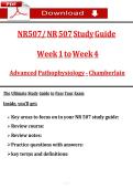 NR570&sol; NR 570 midterm main guide 