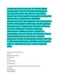 Comprehensive Analysis of Human Blood Composition Plasma Proteins Hematocrit Formed Elements Red Blood Cells White Blood Cells Neutrophils Eosinophils Basophils Monocytes Lymphocytes Platelets Megakaryocytes Hemoglobin Iron Metabolism Ferritin Hemosiderin