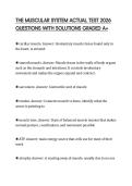 THE MUSCULAR SYSTEM ACTUAL TEST 2026 QUESTIONS WITH SOLUTIONS GRADED A&plus;