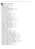 BIO331 Cadaver Quiz Questions and Answers