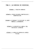 TEMA 6&colon; LAS MEDIDAS DE SEGURIDAD&period;