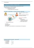 Samenvatting -  orthopedagogie H1