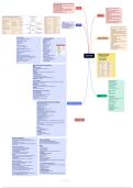 Obstetrics- amenorrhea Mind map 