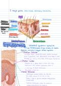 Bio notes