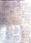 AQA Gcse History Germany Condensed Summary Mindmaps