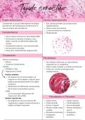 Tejido conectivo