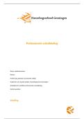 Professionele ontwikkeling  - Eindopdracht scriptie 