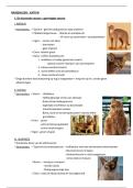Samenvatting -  rassenleer HONDEN