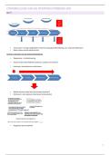 samenvatting strafrechtsbedeling &lpar;16&sol;20&rpar;
