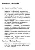 Electrolytes and Imbalances&colon; Key Concepts for Nursing &ndash; Study Guide & Review