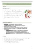 Samenvatting spijsvertering prof&period; Topal