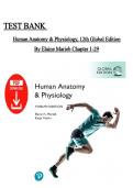 Test Bank  &ndash; Human Anatomy & Physiology 12th Global Edition by Elaine N&period; Marieb &vert;Chapters 1&ndash;29 &vert; Instant PDF Download