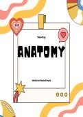 DocGuy Short Notes&colon; Anatomy of the Superficial Neck