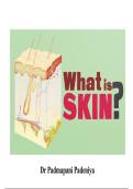 Skin histology- Structure of Epidermis and Dermis &lpar;Medical Study Notes&rpar;