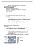 samenvatting cellen H2