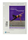 Fundamentals of Anatomy and Physiology 11th Edition Test Bank Questions and Solutions