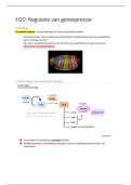 Samenvatting H20 biochemie &lpar;behaalde 18&sol;20&rpar; 
