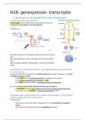 Samenvatting H18 biochemie &lpar;behaalde 18&sol;20&rpar; 