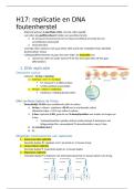 Samenvatting H17 biochemie &lpar;behaalde 18&sol;20&rpar; 