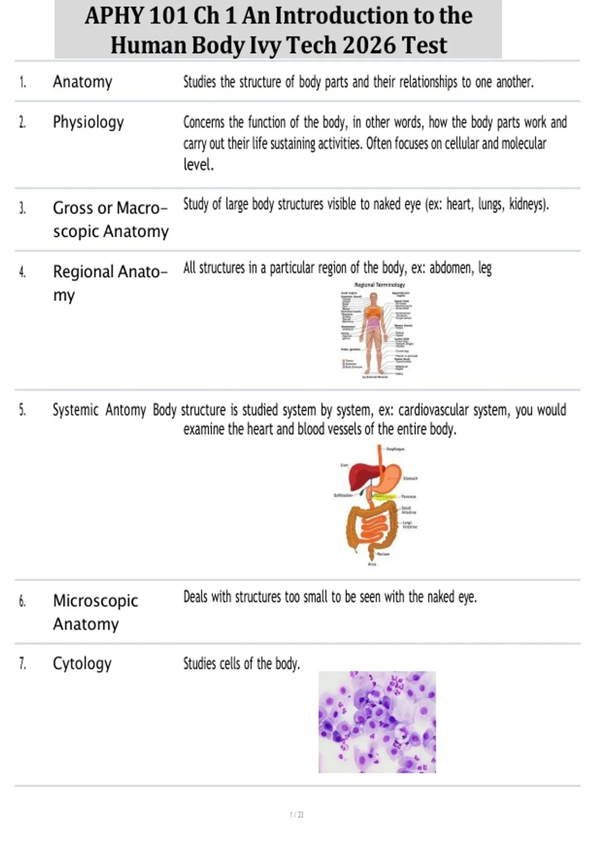 APHY 101 Ch 1 An Introduction to the Human Body Ivy Tech 2026 Test ...