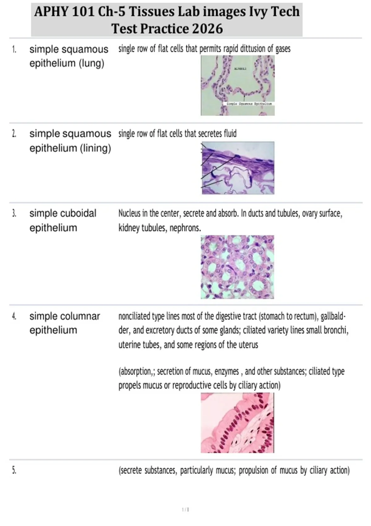APHY 101 Ch-5 Tissues Lab images Ivy Tech Test Practice 2026 - APHY 101 ...