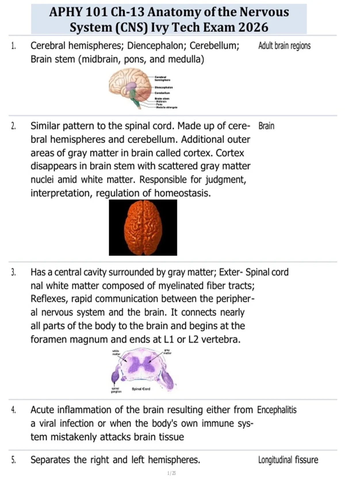 APHY 101 Ch-13 Anatomy of the Nervous System (CNS) Ivy Tech Exam 2026 ...