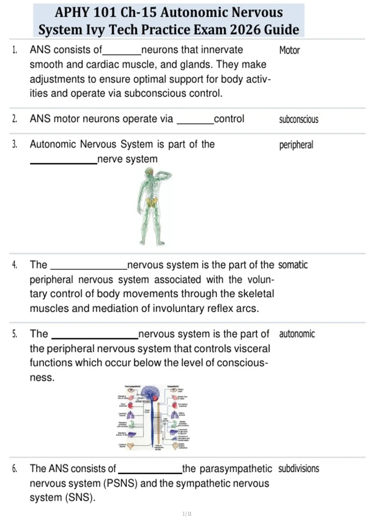 APHY 101 Ch-15 Autonomic Nervous System Ivy Tech Practice Exam 2026 ...
