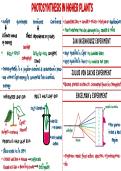 Photosythesis in higher plants
