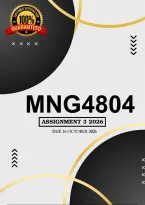 MNG4804 Assignment 3 Semester 2 Answers 2026 - Due 16 October 2026
