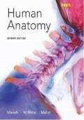Human Anatomy &ndash; 7th Edition &lpar;Marieb&comma; Wilhelm & Mallatt&rpar;&comma; 2014&comma; Test Bank Questions for Chapters 1&ndash;25