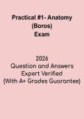 Anatomy Practical 1 &lpar;Boros&rpar; Study Guide &vert; Human Anatomy Lab Exam Preparation