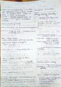 Best consice handwritten notes 