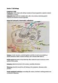 Biology 11&comma; document 12&comma; animal and plant cells and chemistry