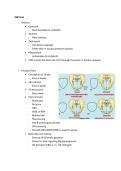 Hondros College of Nursing&comma;Columbus NUR 166 &lpar;NUR166&rpar; - Final Exam Review Guide &vert; Complete Latest 2025&sol;26&period;