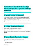 Cellular Respiration Study Guide