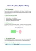 Enzymes Study Guide