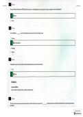 Document preview thumbnail