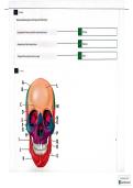 BIOL 251 MODULE 3