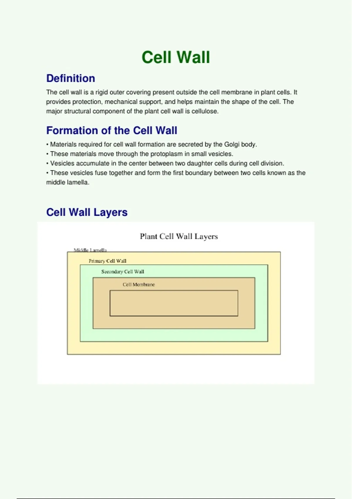 Cell Wall – Definitions, Functions & High-Yield Diagrams (3 Pages ...