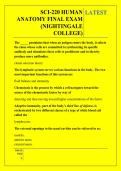 SCI-220 HUMAN  ANATOMY FINAL EXAM  &lpar;NIGHTINGALE  COLLEGE&rpar; QUESTIONS AND ANSWERS 2026