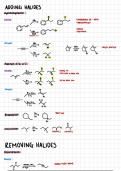 Organic Chemistry 1&colon; SN1&comma; SN2&comma; E1&comma; and E2