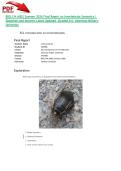 BIOL134 A002 Summer 2026 Final Report on Invertebrate Symmetry&vert; Questions and Answers Latest Updated &lpar;Graded A&plus;&rpar;- American Military University