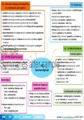 Graad 9 Geografie Kwartaal 1 &lpar;Kollig Op&rpar; Opsommings
