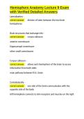 Hemisphere Anatomy Lecture 9 Exam with Verified Detailed Answers&period;docx