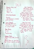 Very easy DNA notes page that gets the point across&period;