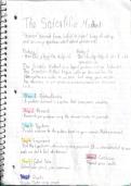 Color coded page of notes about the Scientific Method 