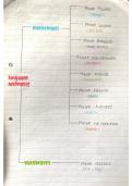 Class notes Life Sciences &lpar;Biology&rpar; 