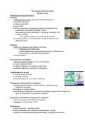 Samenvatting kennisclips schaap en geit Bacteri&euml;le en mycotische ziekten en zo&ouml;nosen 