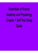Essentials of Human Anatomy and Physiology Chapter 1 Self-Test Study Guide 2025&sol; 2026 with Solution